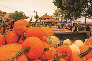 Orange County Pumpkin Festival - Southern Indiana Fall Festivals