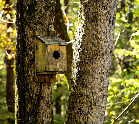 o-bannon-woods-birdhouse
