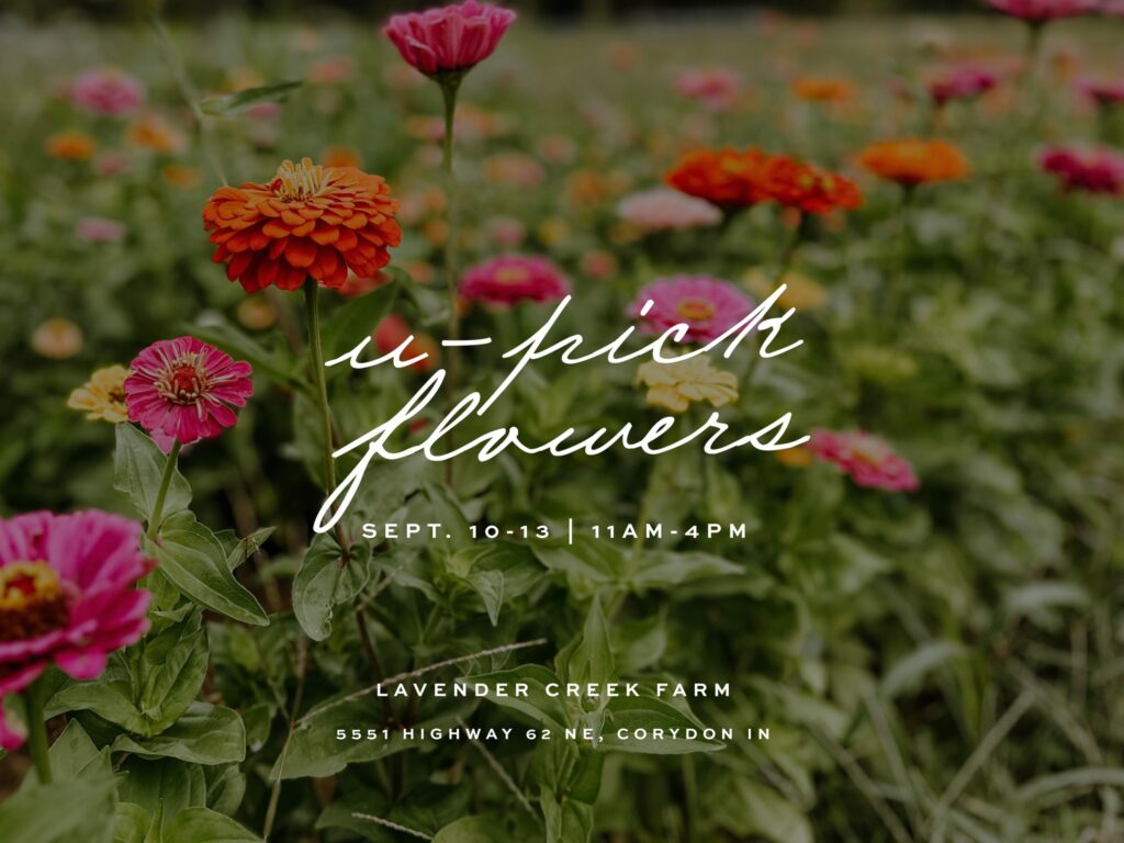 upickflowers
