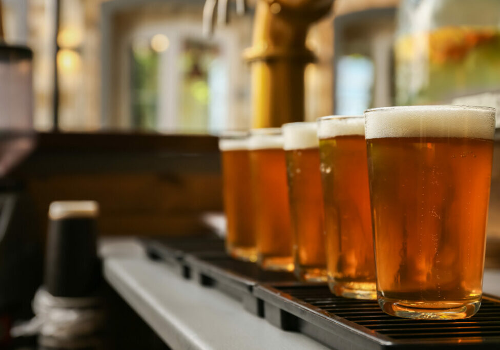 Glasses of fresh draft beer on bar counter