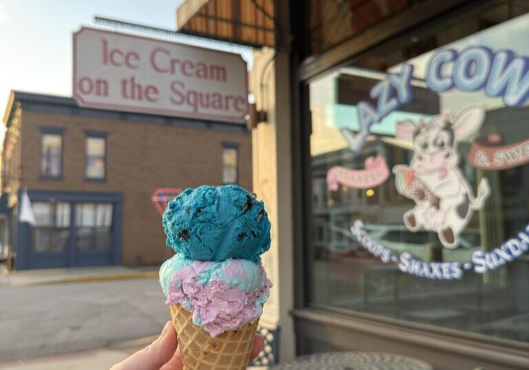 Lazy Cow_Ice Cream